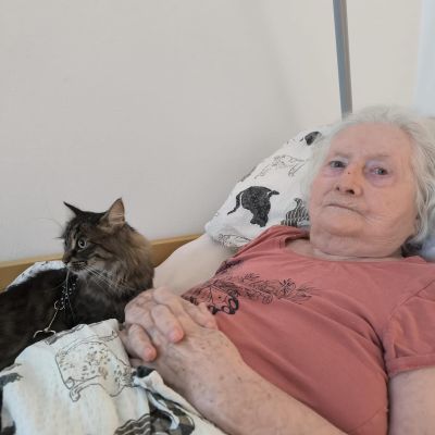 Amatérská felinoterapie (druhá návštěva)