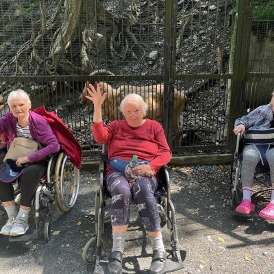 Celodomovní výlet do Zoo