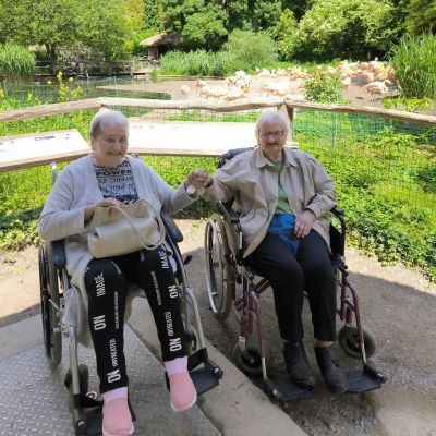 Celodomovní výlet do Zoo