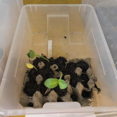 Jaro u nás v plném proudu