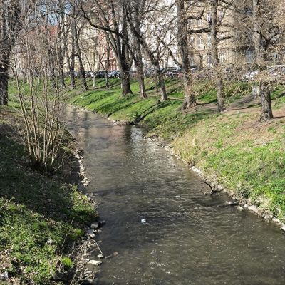 Jaro u nás v plném proudu