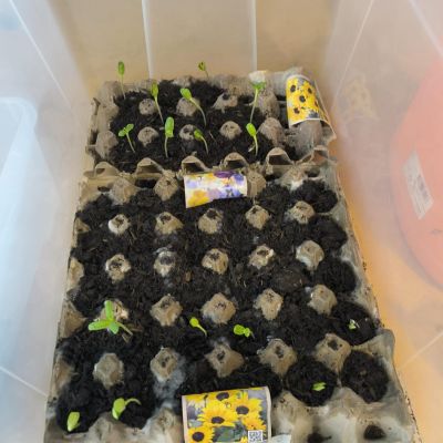 Jaro u nás v plném proudu