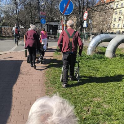 Jaro u nás v plném proudu