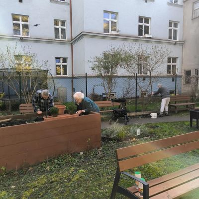 Jaro u nás v plném proudu