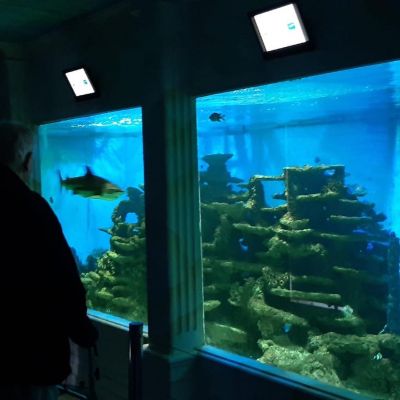 Návštěva Mořského světa