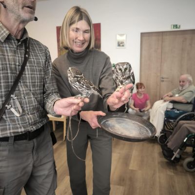 Návštěva sov ze záchranné stanice Panthea 