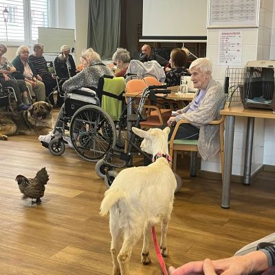 Návštěva zvířátek z farmy  (část druhá)