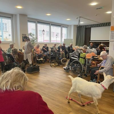 Návštěva zvířátek z farmy  (část druhá)