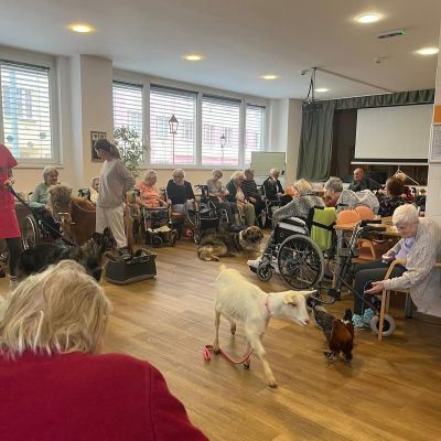 Návštěva zvířátek z farmy  (část druhá)