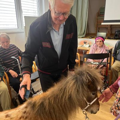 Návštěva zvířátek z farmy  (část druhá)