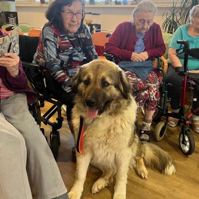 Návštěva zvířátek z farmy  (část druhá)