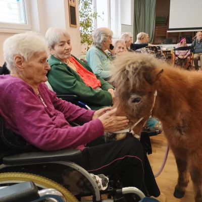 Návštěva zvířátek z farmy