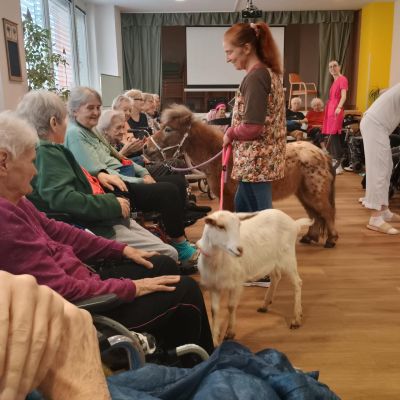 Návštěva zvířátek z farmy