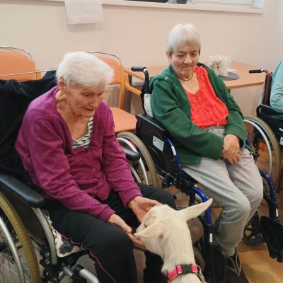 Návštěva zvířátek z farmy