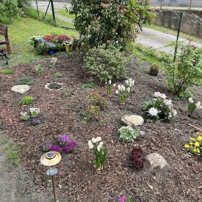 Pálení čarodějnic