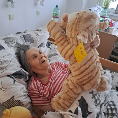 Poslední střípky Vánoc