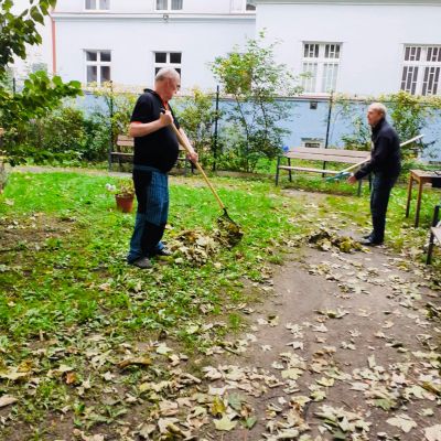 Zazimování zahrady