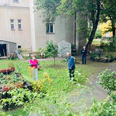 Zazimování zahrady