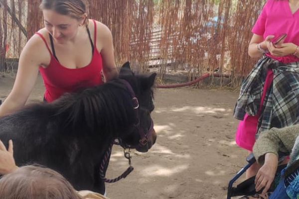 Ráj poníků u Elektry